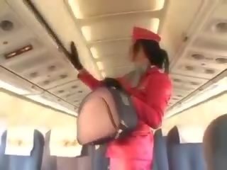 Enchanting stewardess sucking manhood before cunnilingus